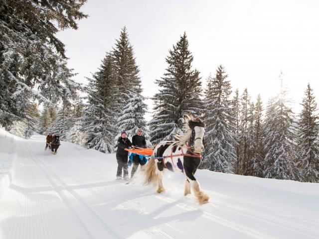 Orelie.b Avoriaz Cheval