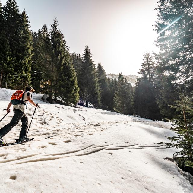 Chatel L. Meyer Ski De Rando 20210223 26