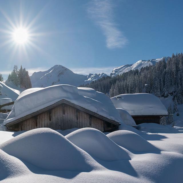 Linadarets Chalets Neige Yvan Tisseyre