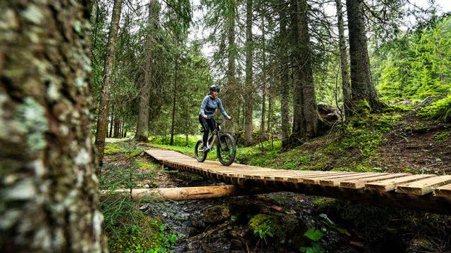 chatel1©l_meyer