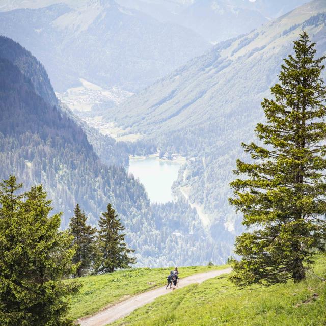 Pp Pedestre Denis Angheben Portesdusoleil 6